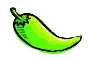 illustration de piment vert